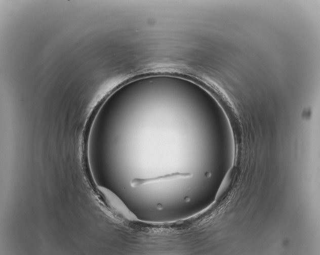 X0000096181277200801251207