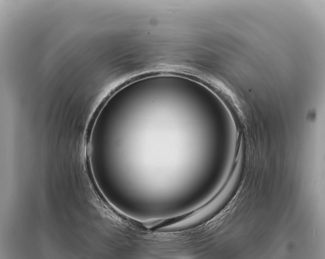 X0000096181280200801251207