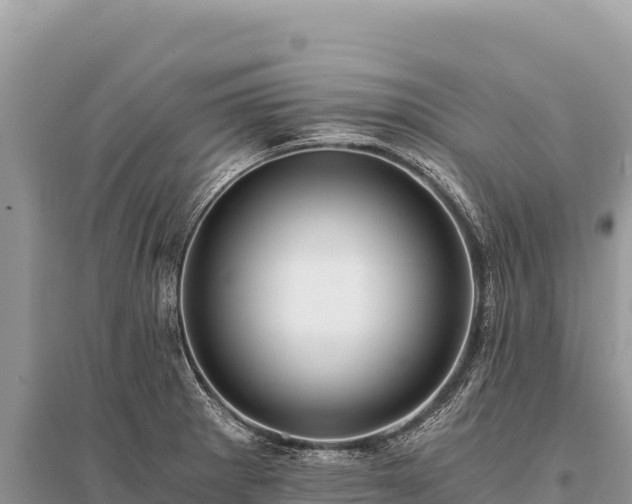 X0000096181281200801251207