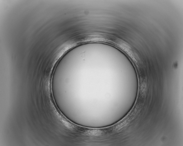 X0000096181282200801251207