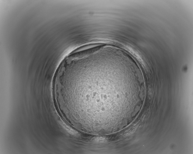 X0000096181283200801251207