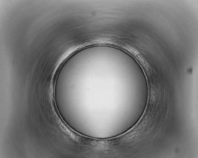 X0000096181286200801251207
