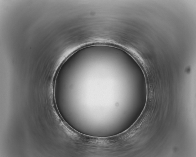 X0000096181287200801251207