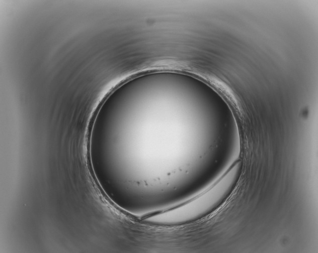 X0000096181288200801251207