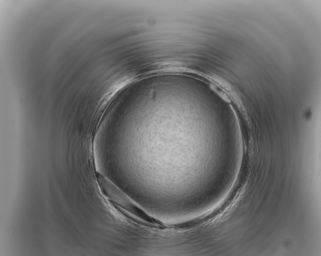 X0000096181289200801251207