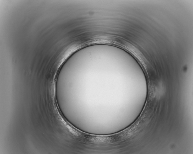 X0000096181290200801251207