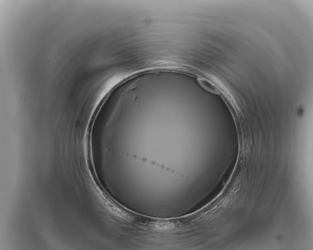 X0000096181291200801251207