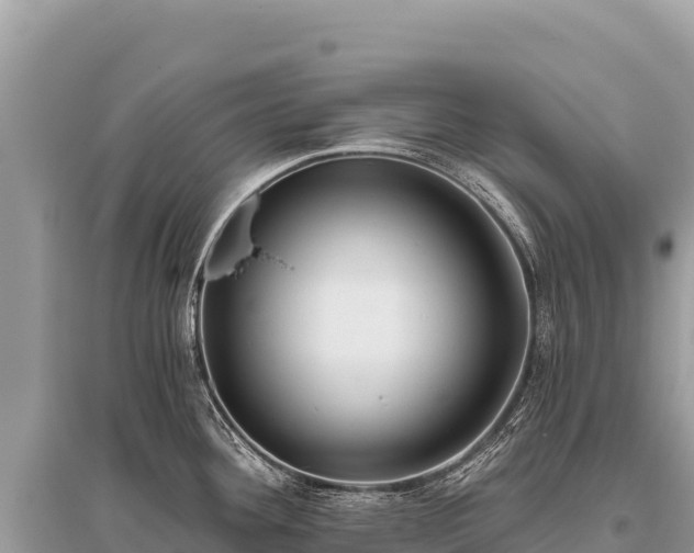 X0000096181292200801251207