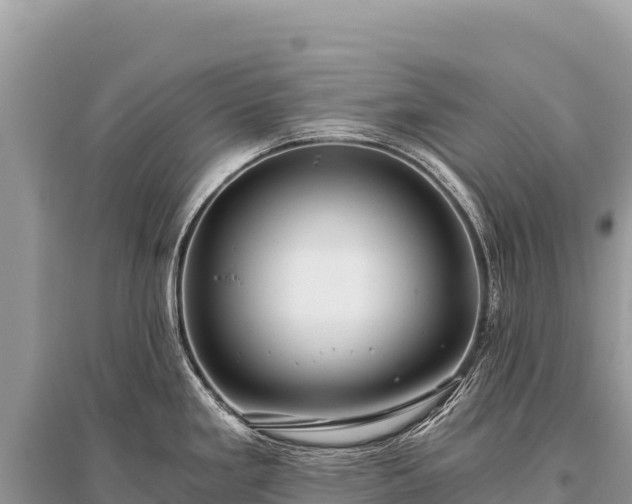 X0000096181293200801251207