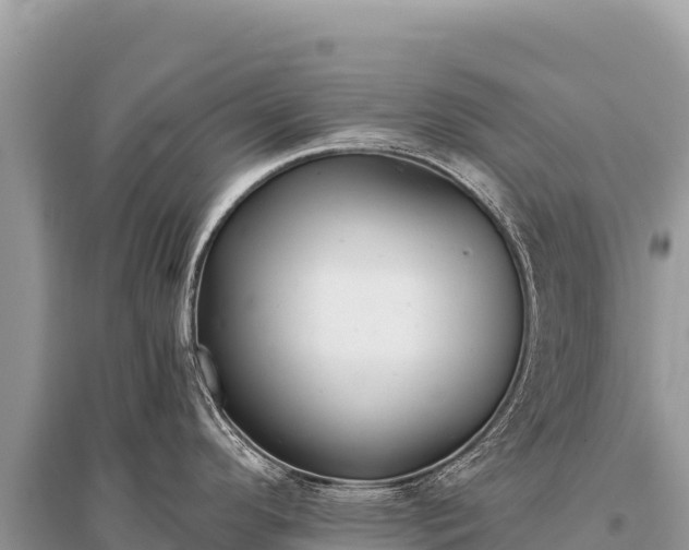 X0000096181296200801251207