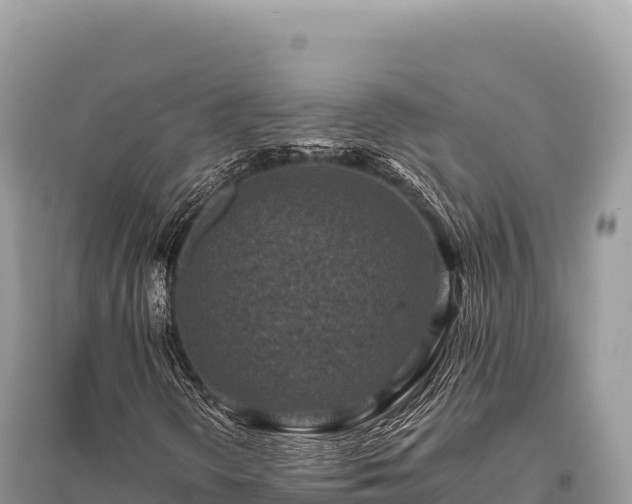 X0000096181298200801251206
