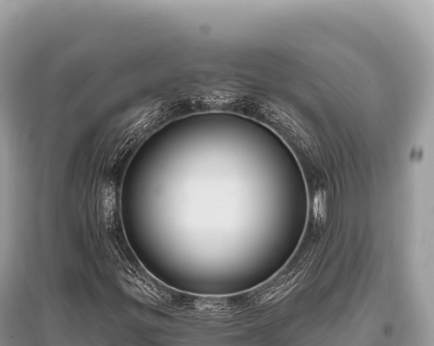 X0000096181299200801251206