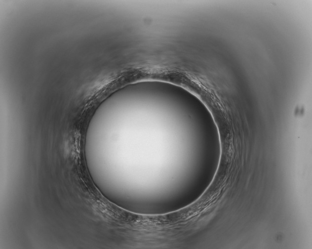X0000096181301200801251206