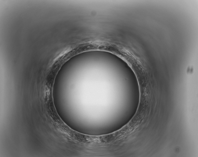 X0000096181302200801251206