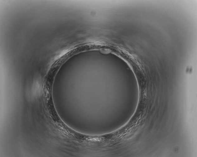 X0000096181303200801251206