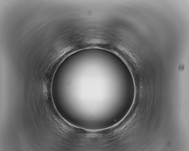 X0000096181305200801251206
