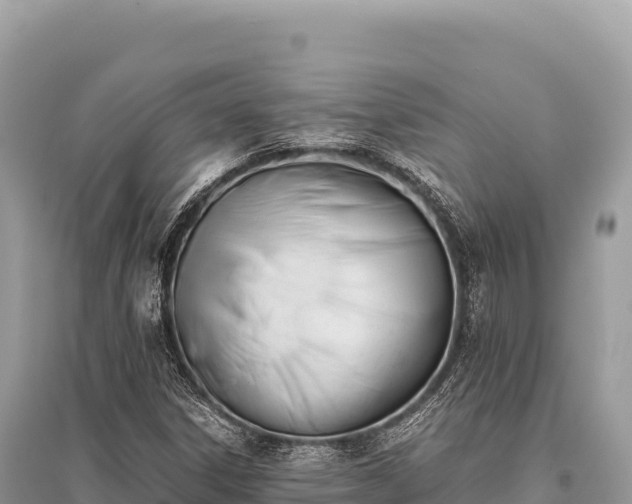 X0000096181306200801251206
