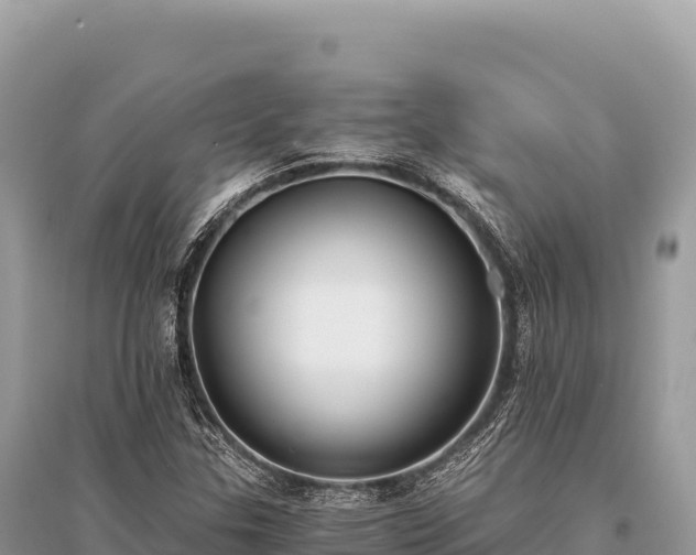 X0000096181307200801251206