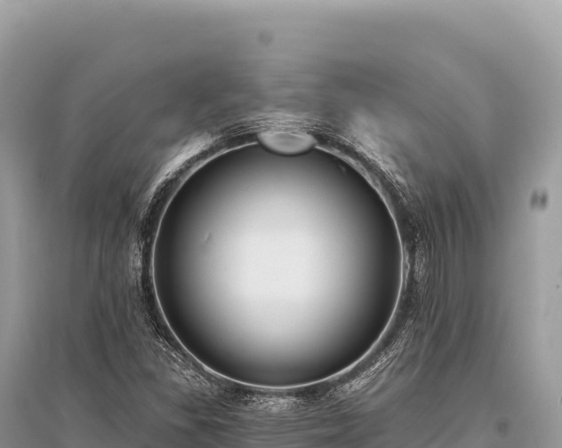 X0000096181309200801251206