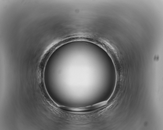 X0000096181310200801251206