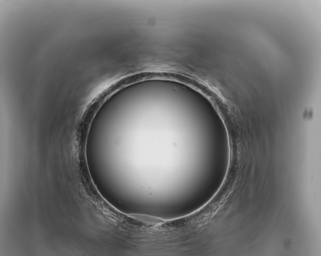 X0000096181311200801251206