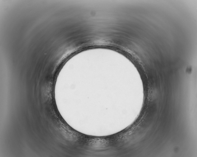 X0000096181314200801251206