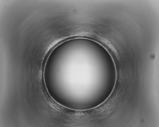 X0000096181316200801251206