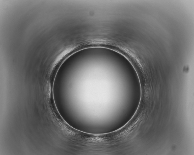 X0000096181317200801251206