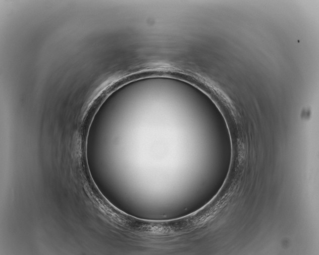 X0000096181318200801251206