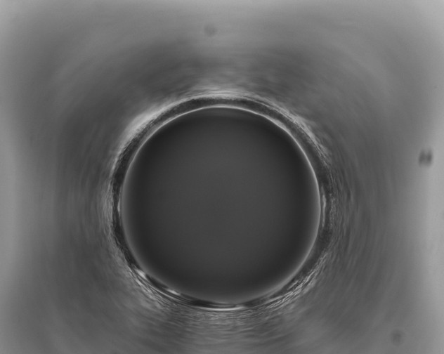 X0000096181319200801251206