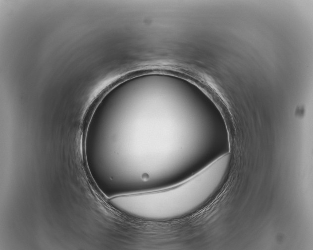 X0000096181320200801251206