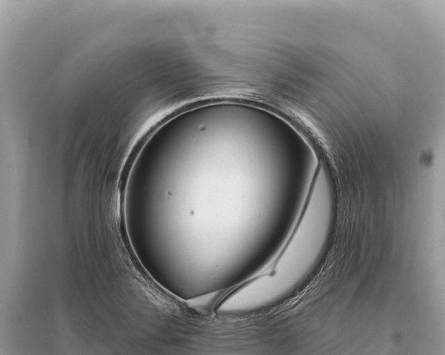 X0000096181324200801251206