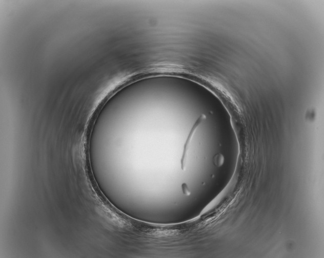 X0000096181325200801251206