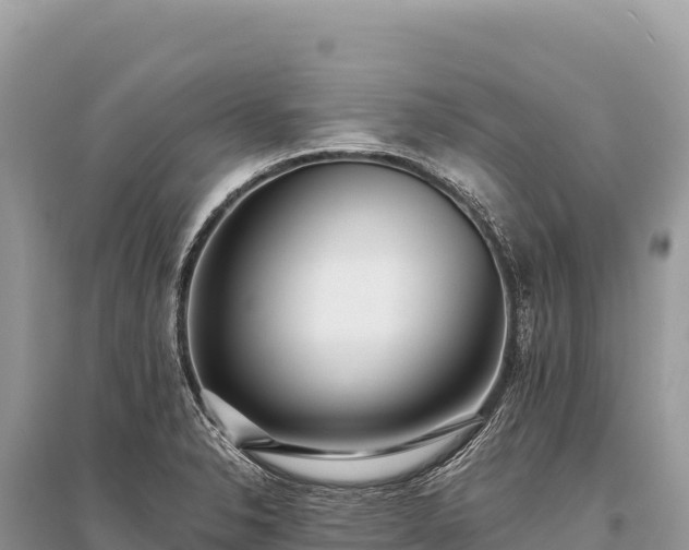 X0000096181326200801251206