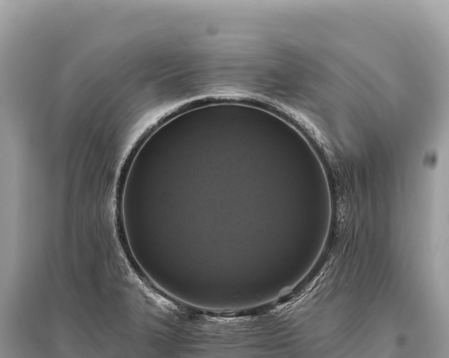 X0000096181327200801251206