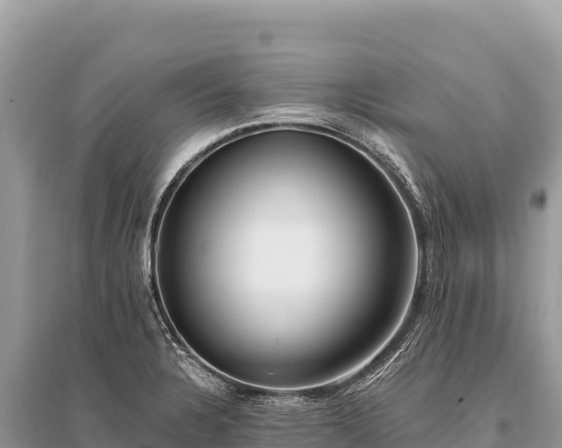 X0000096181328200801251206