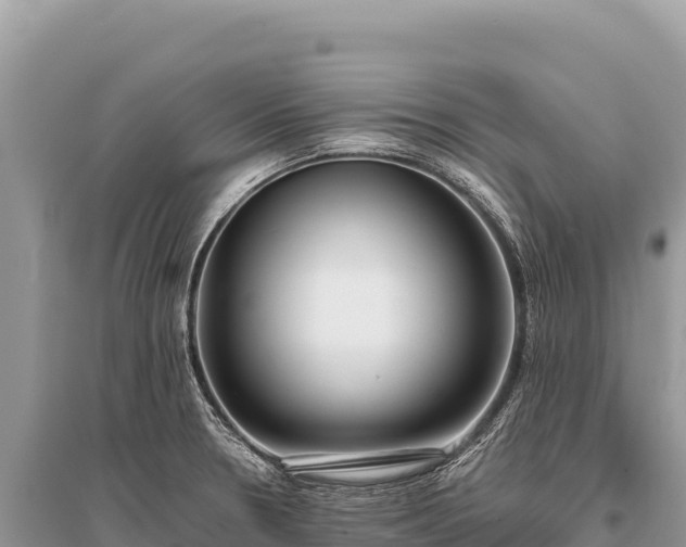 X0000096181330200801251206