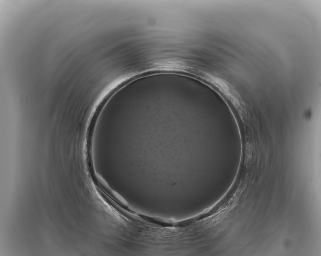 X0000096181331200801251206