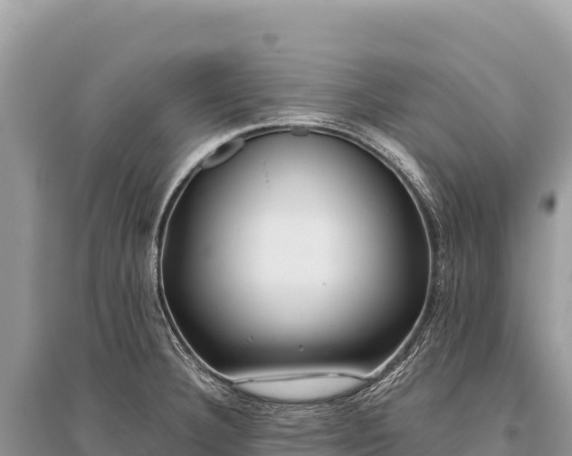 X0000096181332200801251206