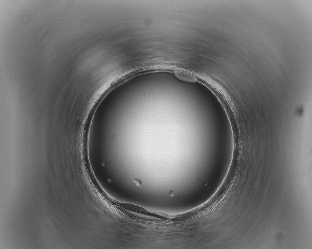 X0000096181333200801251206