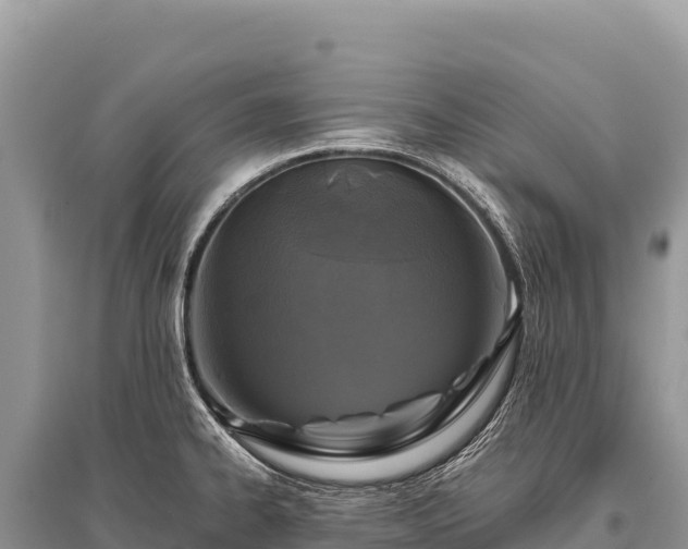 X0000096181334200801251206