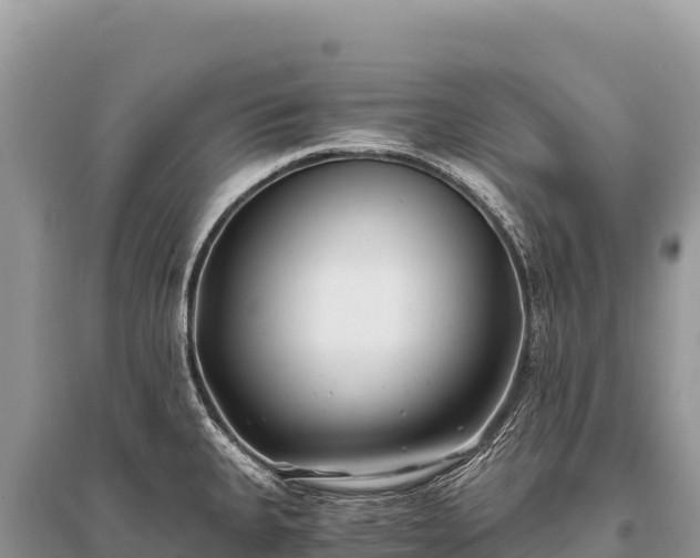 X0000096181335200801251206
