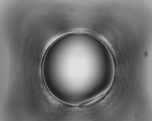 X0000096181336200801251207