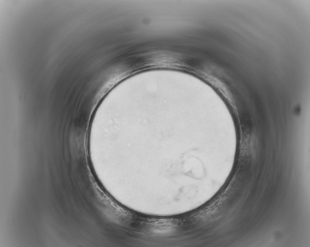 X0000096181338200801251207