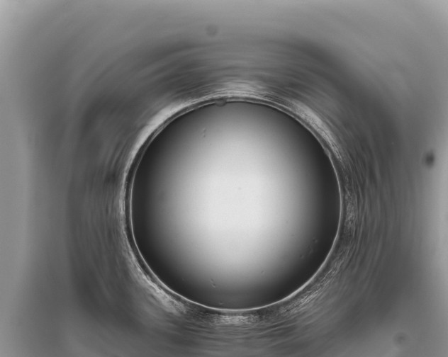 X0000096181339200801251207
