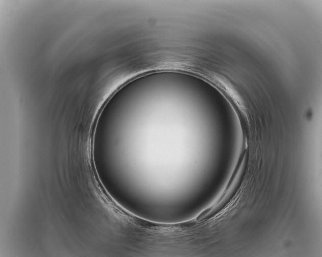 X0000096181340200801251207