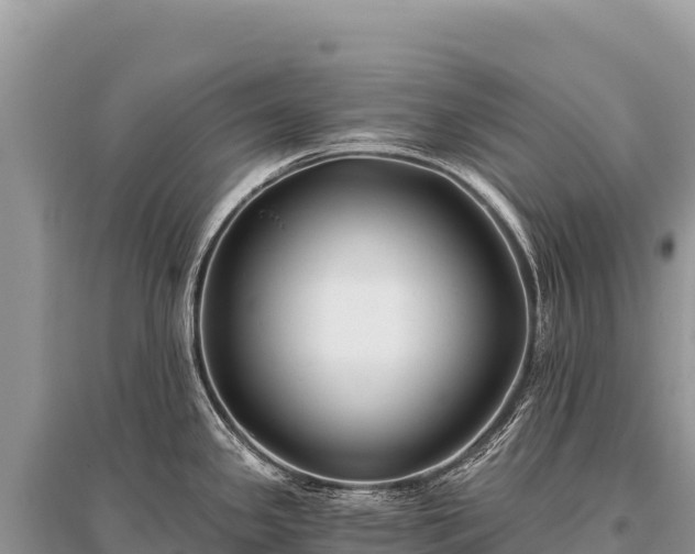 X0000096181341200801251207