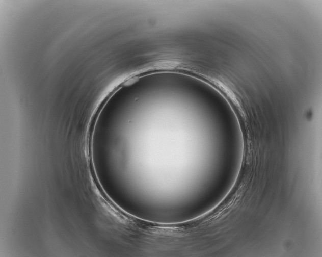 X0000096181342200801251207