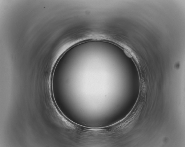 X0000096181343200801251207