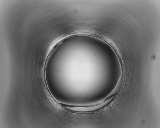 X0000096181344200801251207